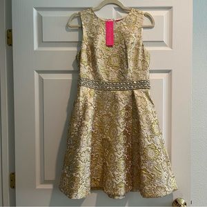 NWT Lilly Pulitzer Levy Dress size 6